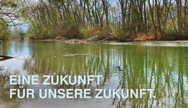 /Blog  100 Jahre Rheinregulierung 1500 1000